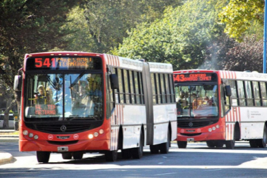 Transporte Público